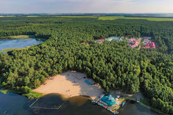 Территория Санатория Ружанский летом - панорама лесного массива «Ружанская пуща»