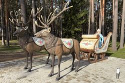 Территория Санатория Ружанский летом - инсталляция на территории