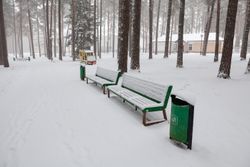 Территория Санатория Ружанский зимой - аллея в лесной части территории