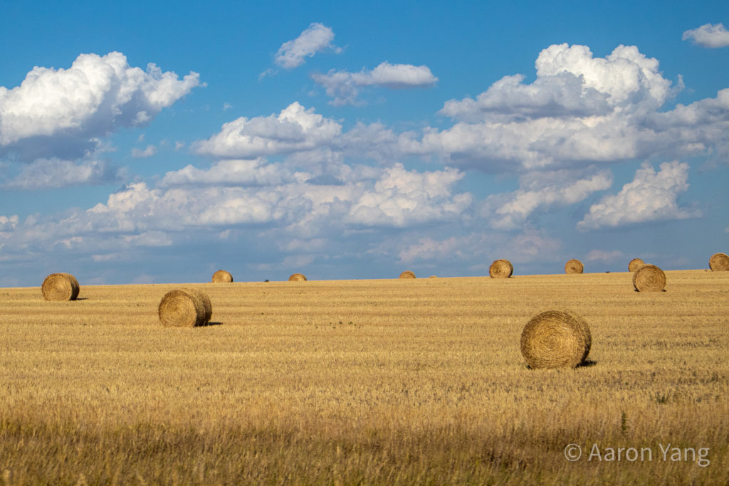 the gold land of dakotas