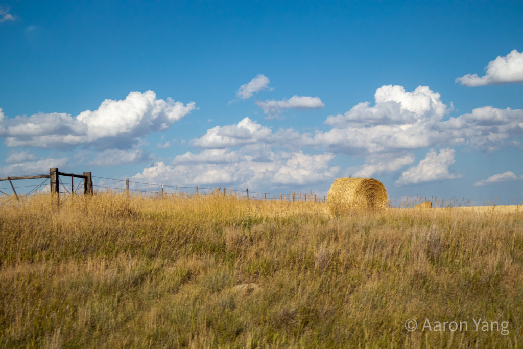 the gold land of dakotas