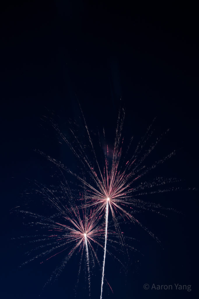 Firework Photography