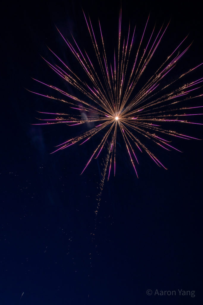 Firework Photography