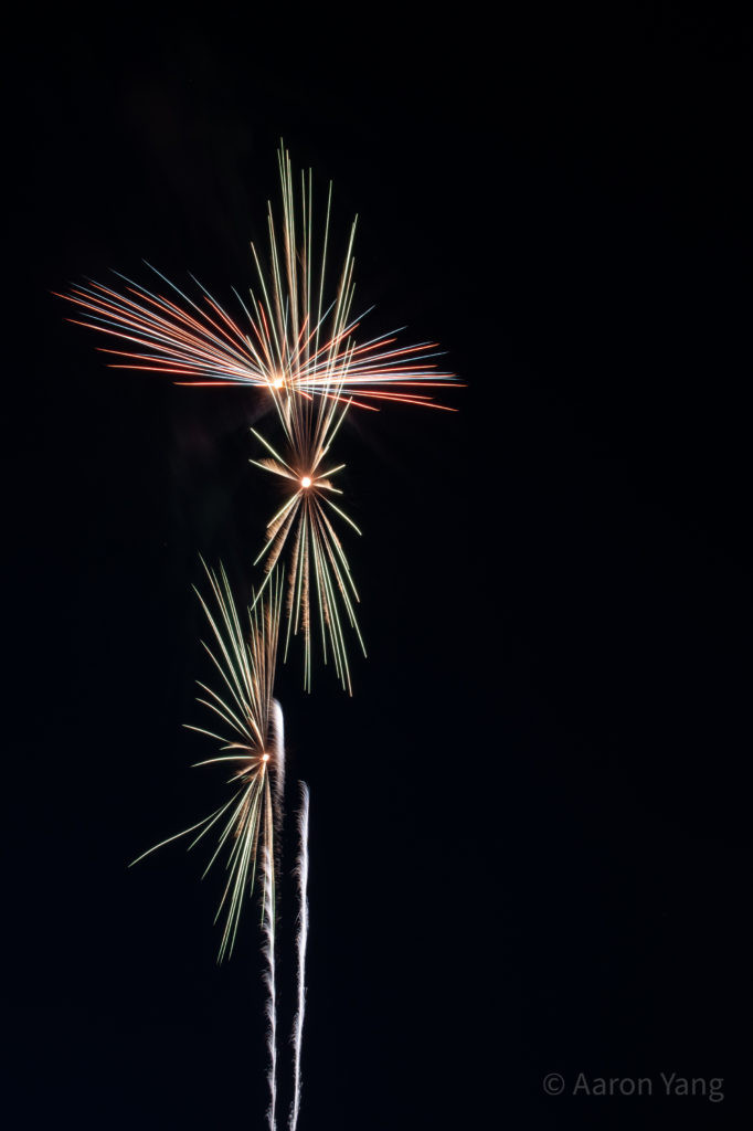 Firework Photography