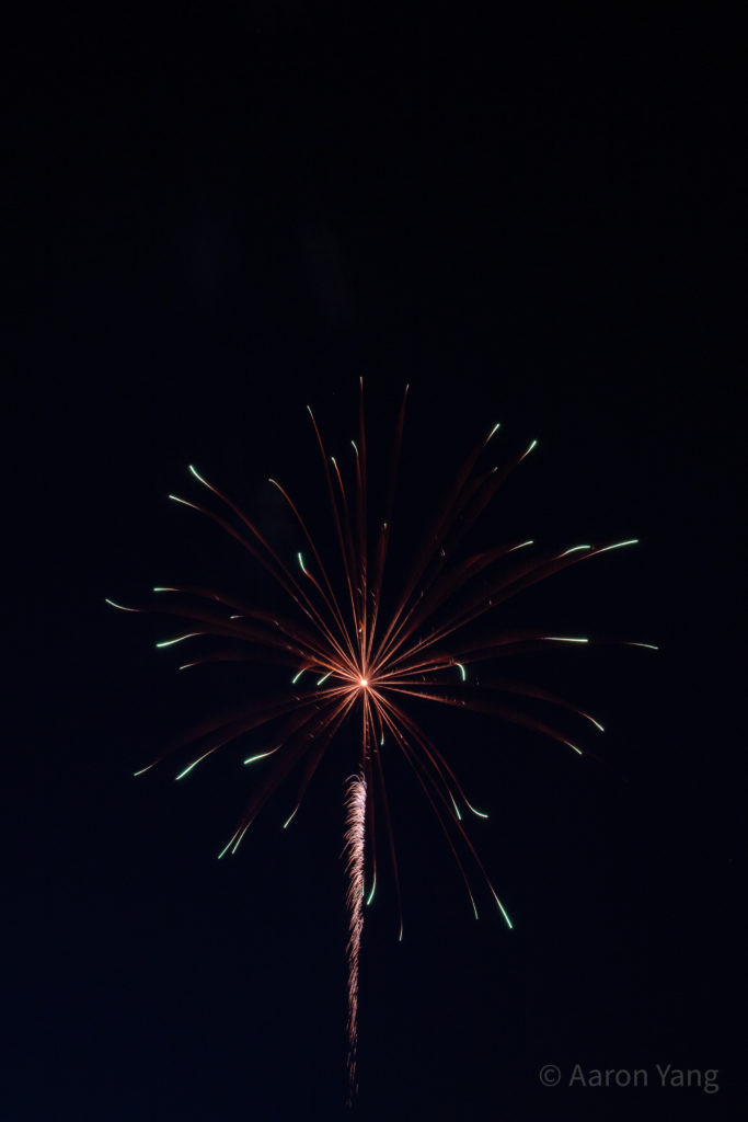 Firework Photography