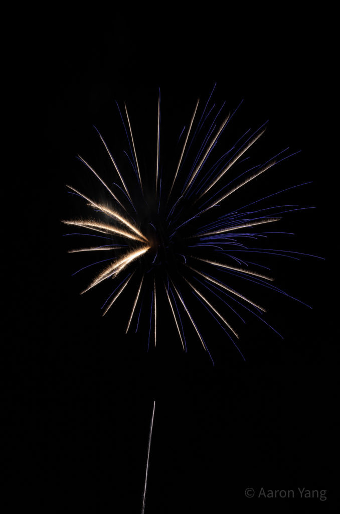 Firework Photography