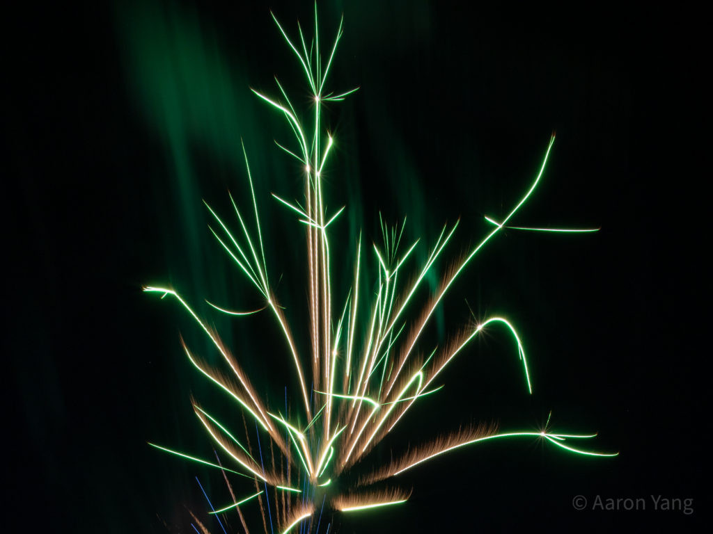 Firework Photography