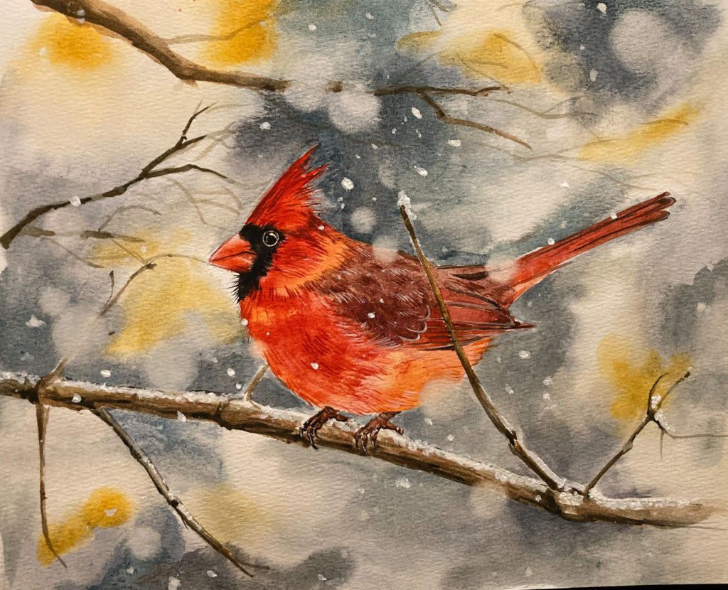 Watercolor cardinal