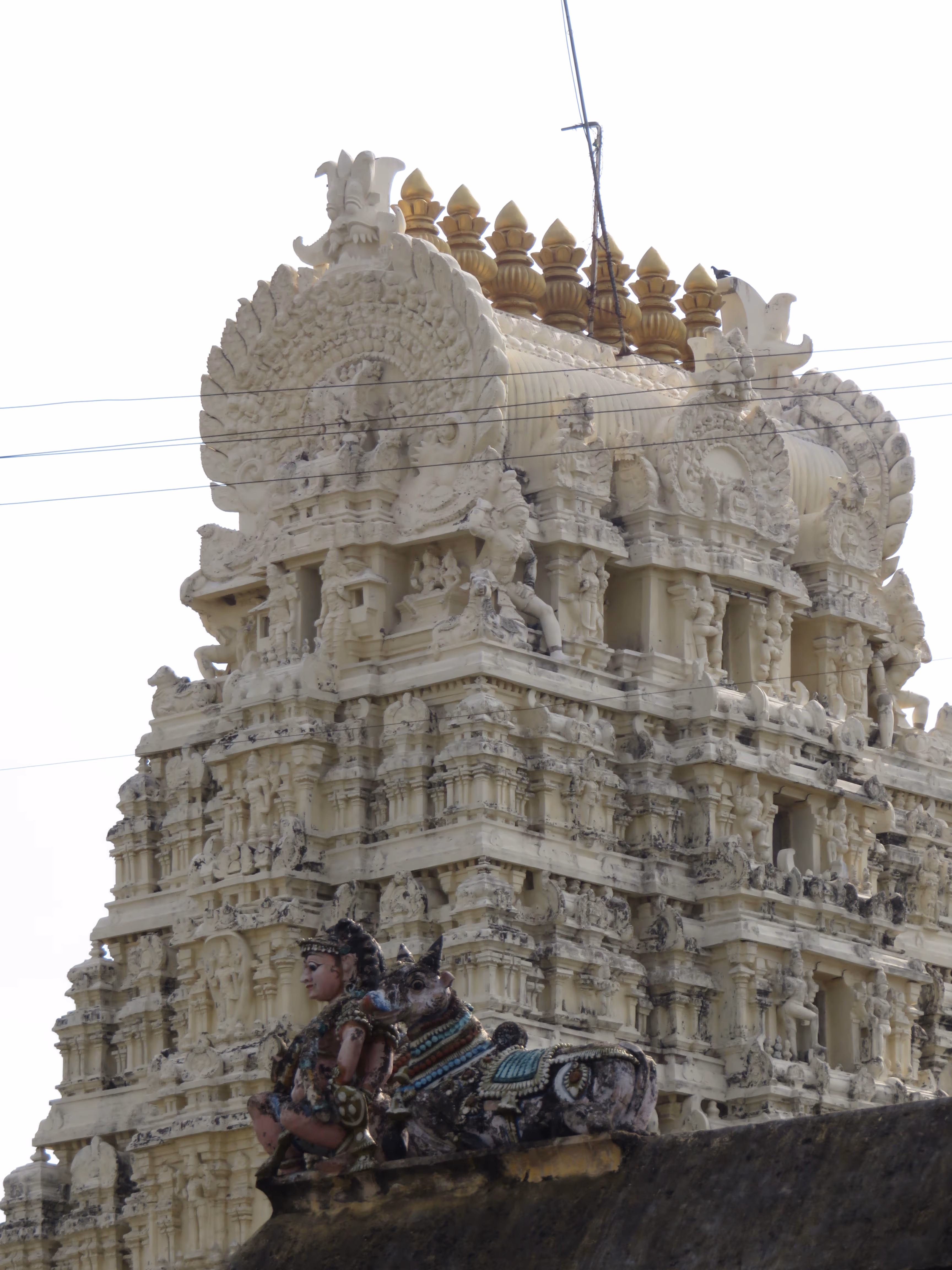 HRIDAY City Anchor Kancheepuram