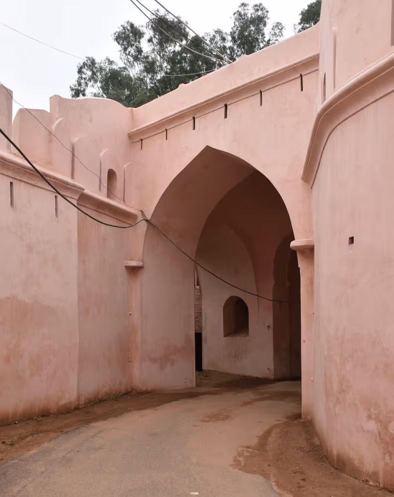 Bahadurgarh Fort