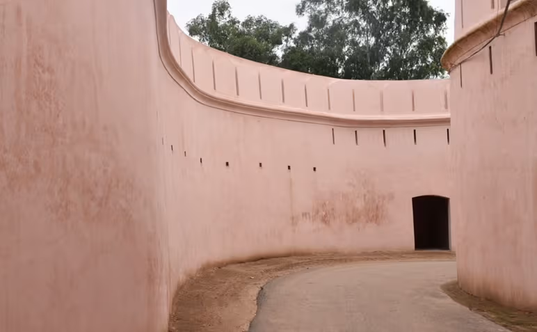Bahadurgarh Fort