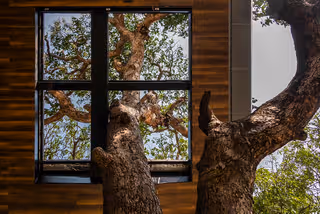 Thumbnail 27