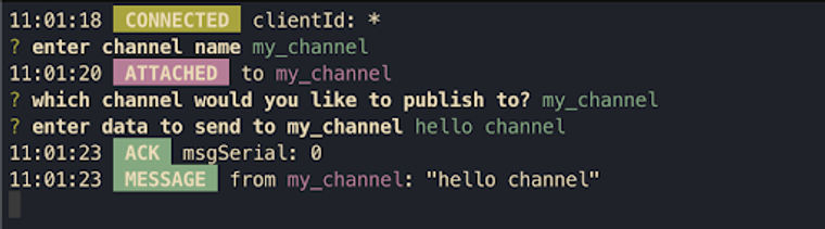 How to connect to Ably directly (and why you probably shouldn't) – Part 2
