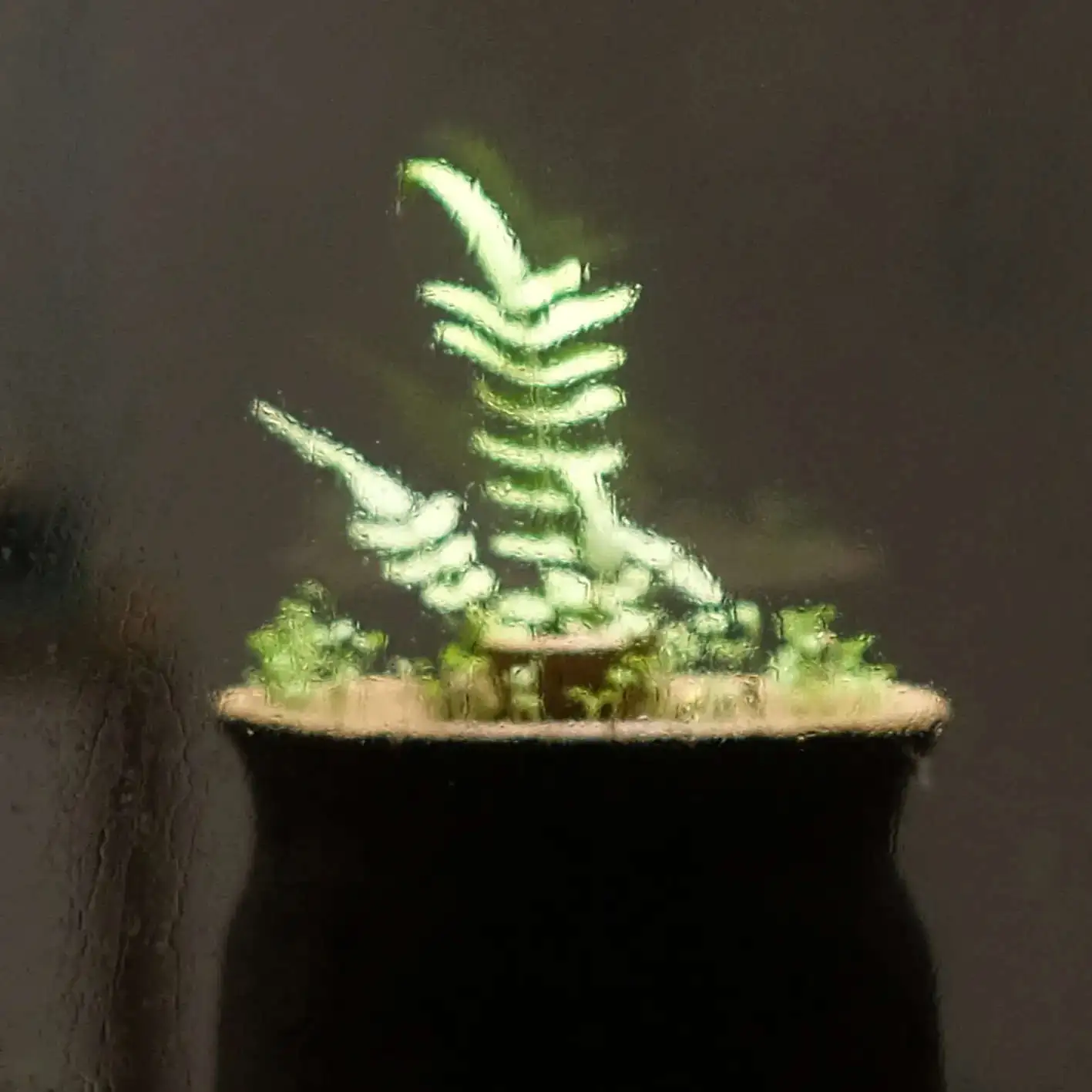 Transitory Nature of Earthly Joy