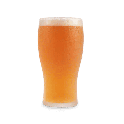Pint of local beer