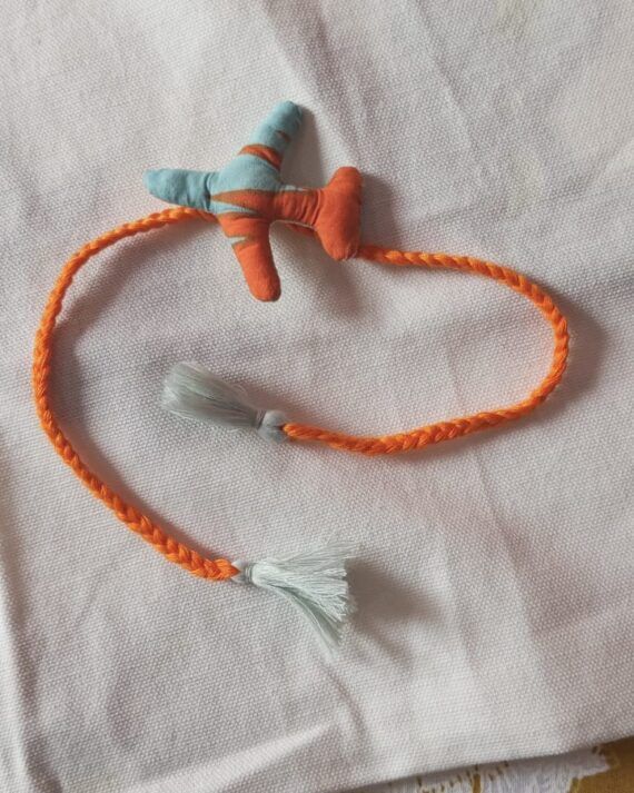 Plane toy rakhi, Sustainable rakhi