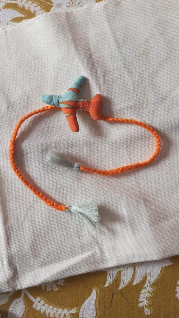 Plane toy rakhi, Sustainable rakhi