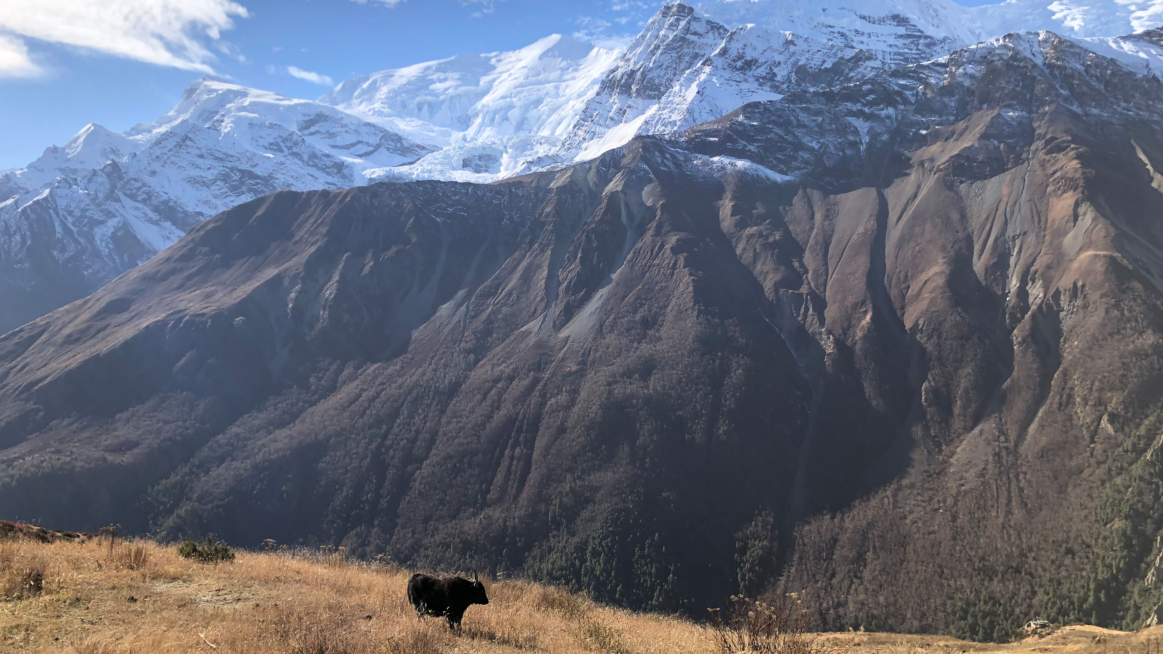 Shree Kharka to Phedi