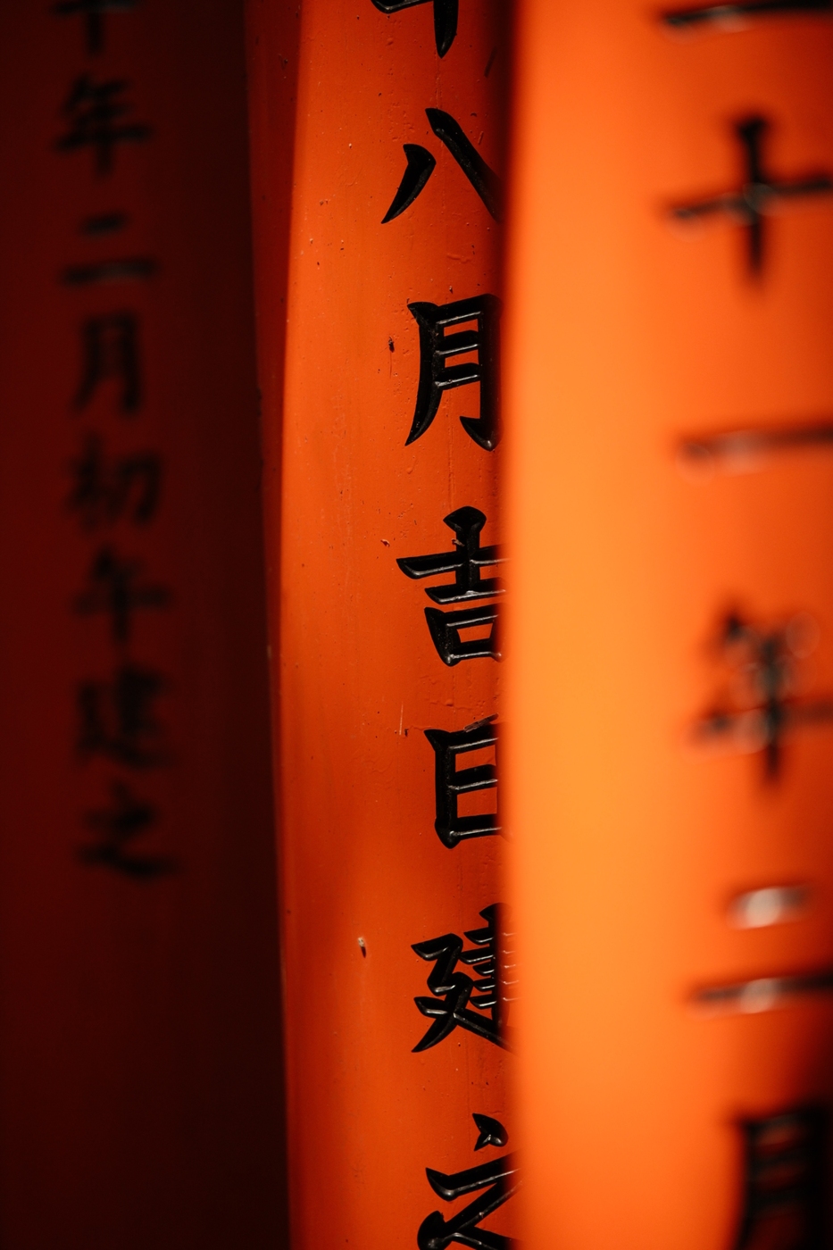 Torii