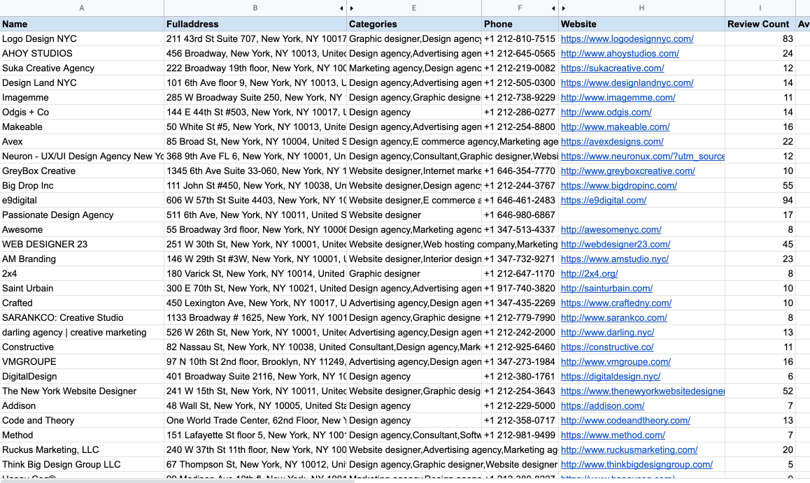 Google Maps Scraper - Excel file