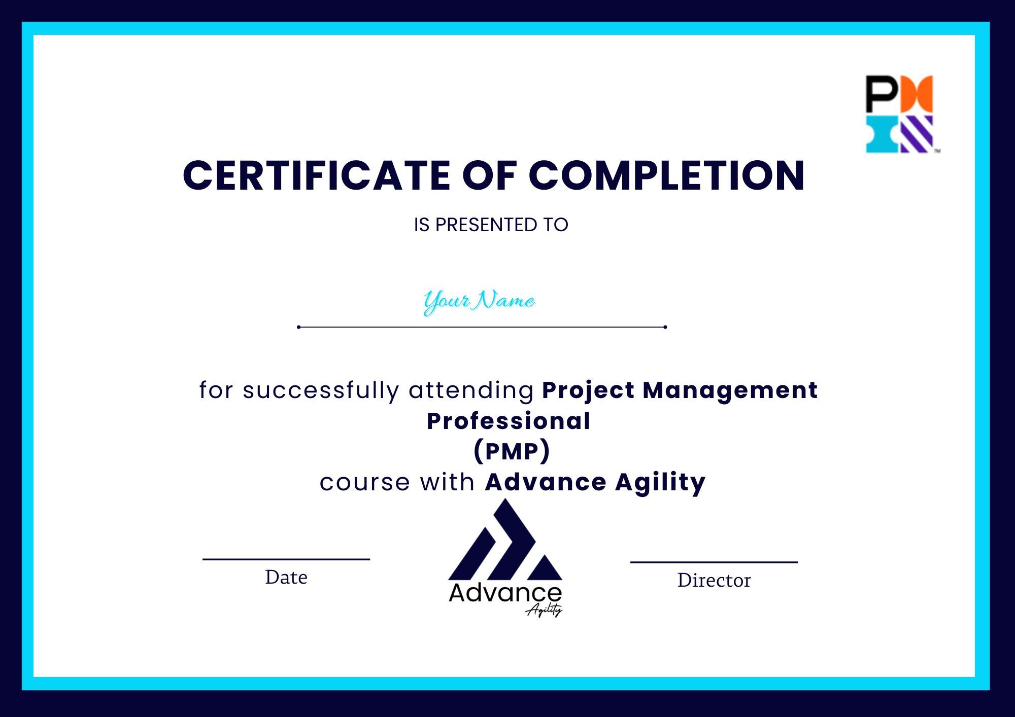 Project Management Professional