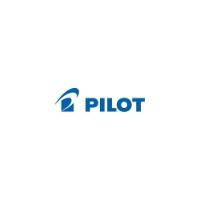 Image of Pilot