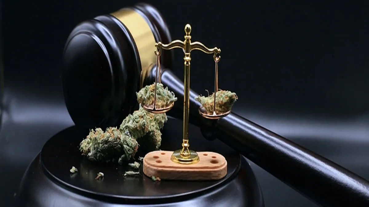 A falta de ação da Anvisa aumenta a distância entre Judiciário e Congresso