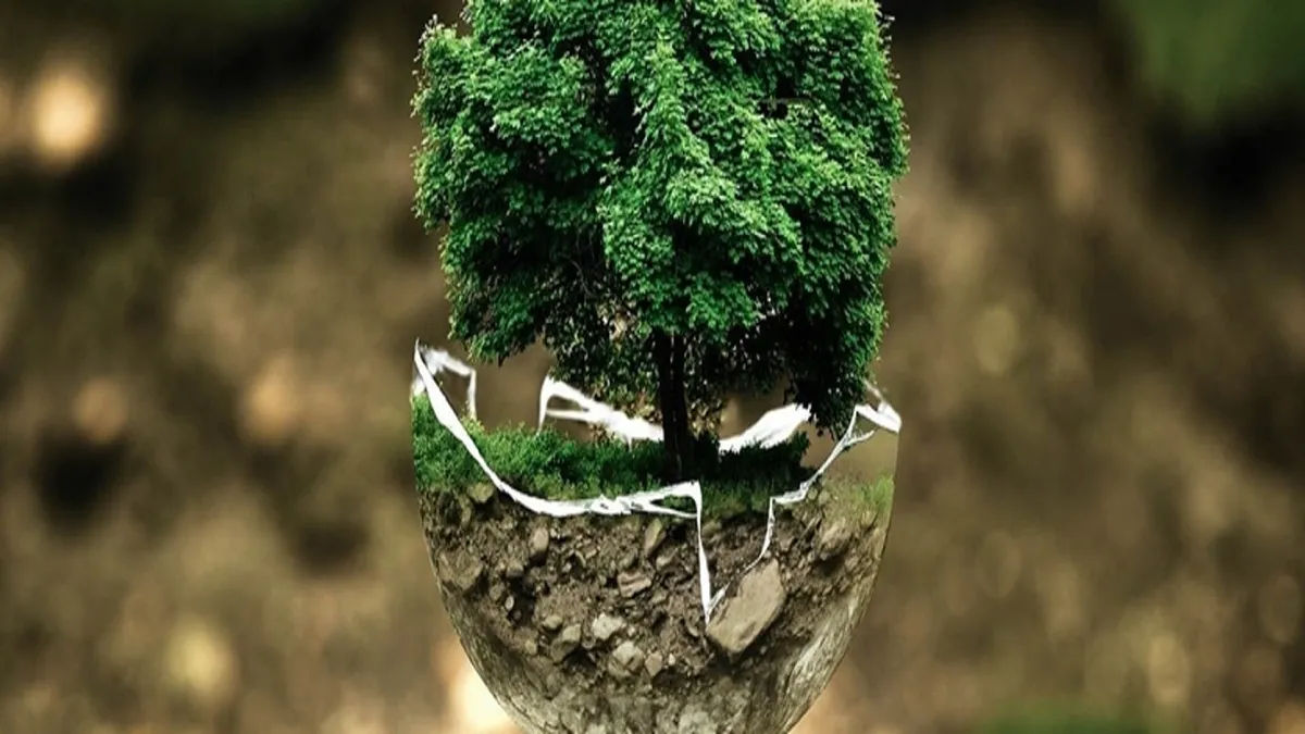 Precaução ambiental: prioridade na proteção, mesmo diante do imprevisível