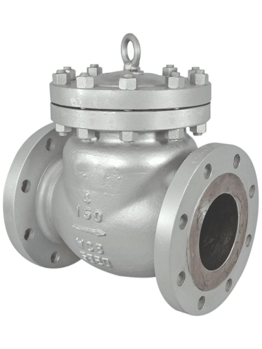 Check Valves - Aegis Valves