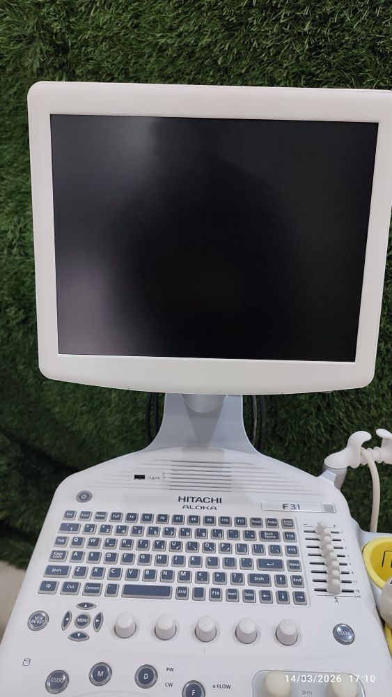Hitachi Aloka F31