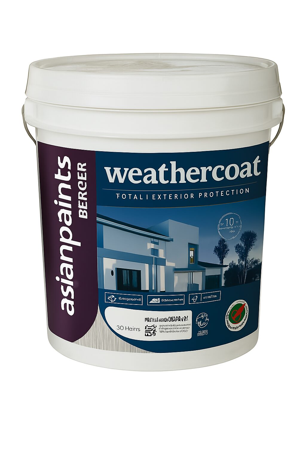 Asian Paints Berger Weather Coat Flex-Tex Ultra