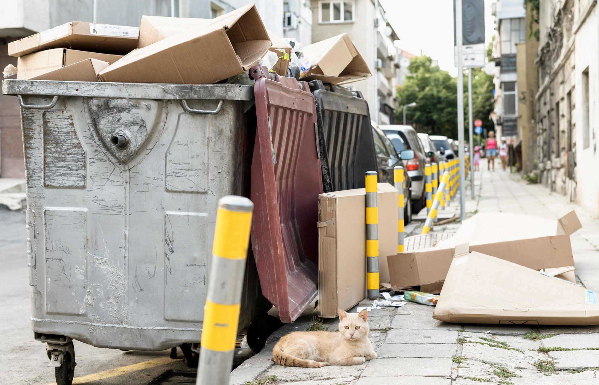 Dumpster Rental Chicago IL 60601 | Dumpster for Rental