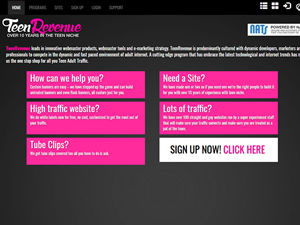 TeenRevenue logo