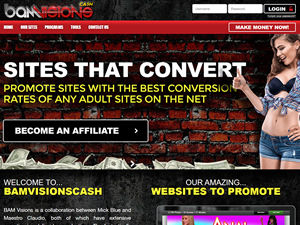 BAM Visions Cash logo