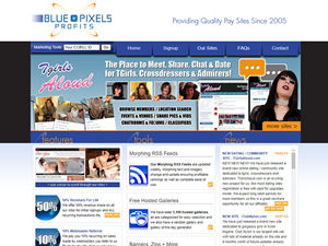 Blue Pixels Profits logo