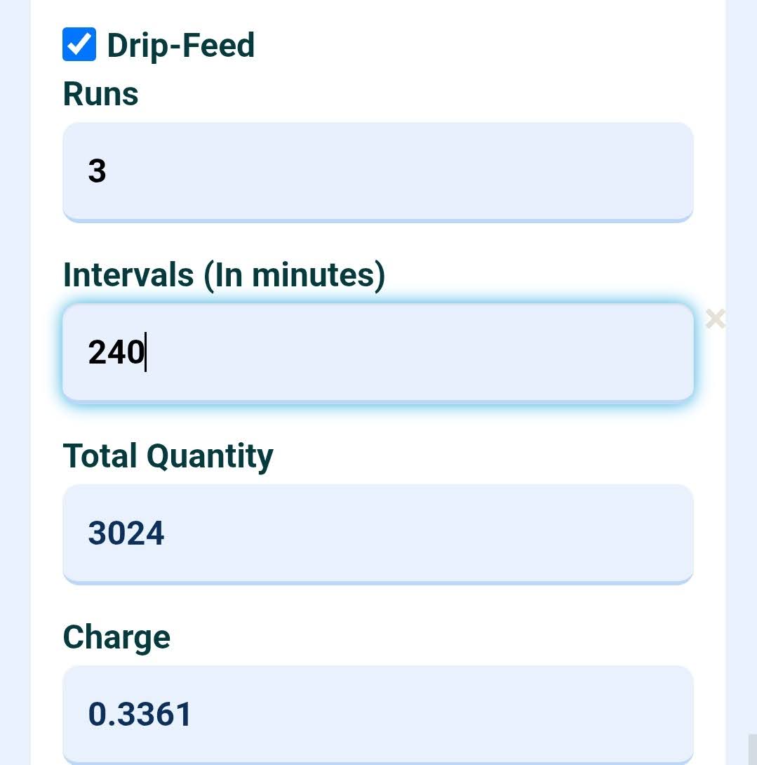 Drip feed order setup in SMM panel