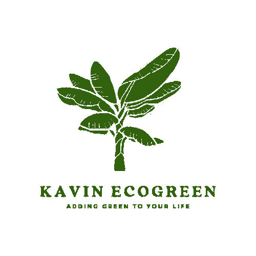 Kavin Eco green products, Banana fibre prodcuts specialist