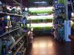 Pet Shop and Grooming