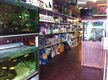 Pet Shop and Grooming