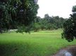Lifestyle opportunity - Atherton Tablelands