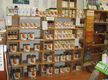 The Natural Paint Place