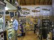 Fishing for a Bargain?