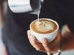 Boutique Cafe at Darlinghurst NSW