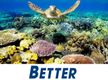 Fishing Tackle - A Lifestyle to Enjoy