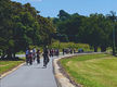 The Northern Rivers Rail Trail – Own Northern Rivers Cycles & Bike Hire!
