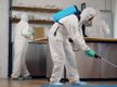 Pest Control Franchise Opportunity - Gauteng
