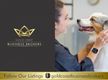 WELL ESTABLISHED, FULLY STAFFED PET GROOMING & DAYCARE BUSINESS WITH STRONG REPEAT TRADE