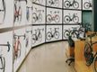 A Golden Opportunity exists to acquire a Wildly Successful Bicycle Retail Business due to owners retirementplans.Constantly Increasing Turnover of $1.6M – Fully-Equipped, High Foot Traffic–Ample Parking–Huge Untapped Growth Potential. Price: $300k