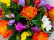 Wholesale Plants – 45years One Owner
