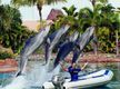 BOATS and OUTBOARDS - Exceptional Opportunity